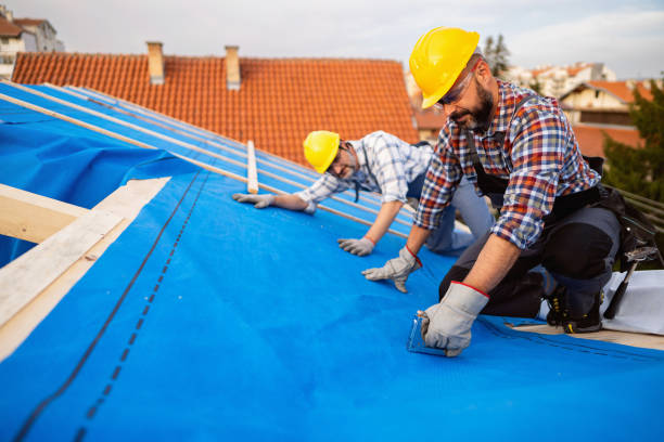 Best Roof Maintenance Services  in Highland Rk, PA