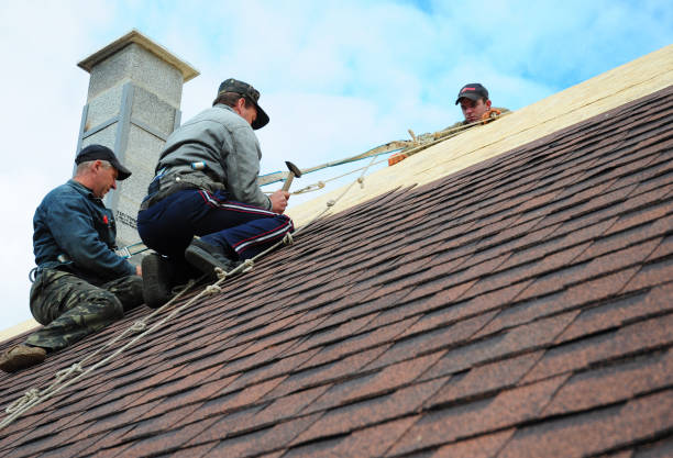 Residential Roof Replacement in Highland Park, PA